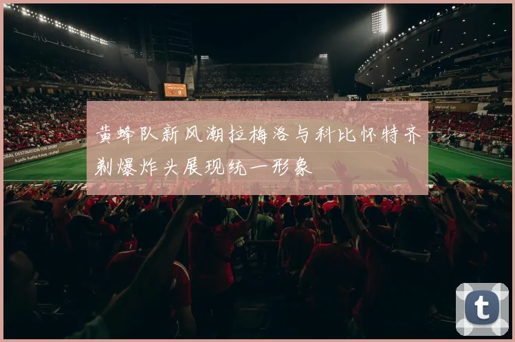 黄蜂队新风潮拉梅洛与科比怀特齐剃爆炸头展现统一形象