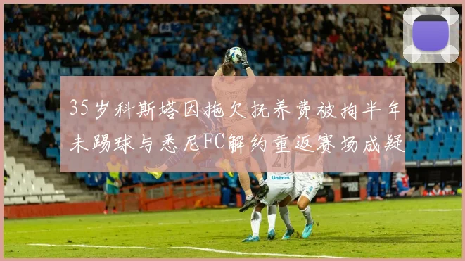 35岁科斯塔因拖欠抚养费被拘半年未踢球与悉尼FC解约重返赛场成疑