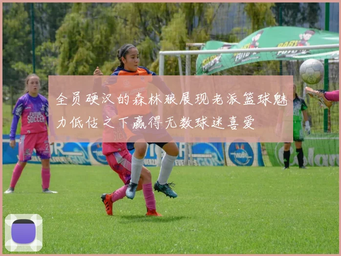 全员硬汉的森林狼展现老派篮球魅力低估之下赢得无数球迷喜爱